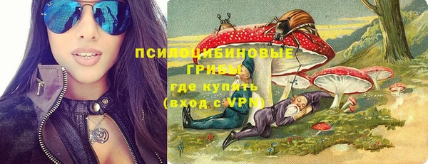 дмт Надым