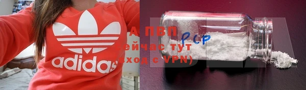 дмт Надым