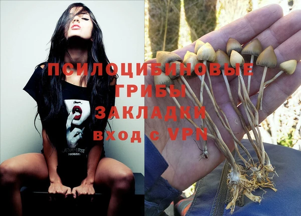 дживик Наволоки