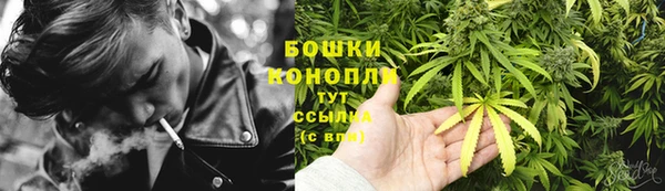 дживик Наволоки